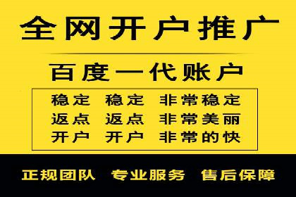 竞价广告策略案例分析